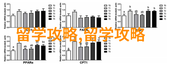 新加坡留学 没事回国干啥在新加坡挺好究其原因竟是这些