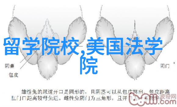 新加坡教育大解析