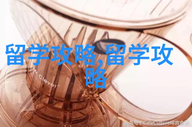 泰国留学泰国艺术大学艺术硕士艺术专业亚洲排名第一含金量高中文辅助中留服认证