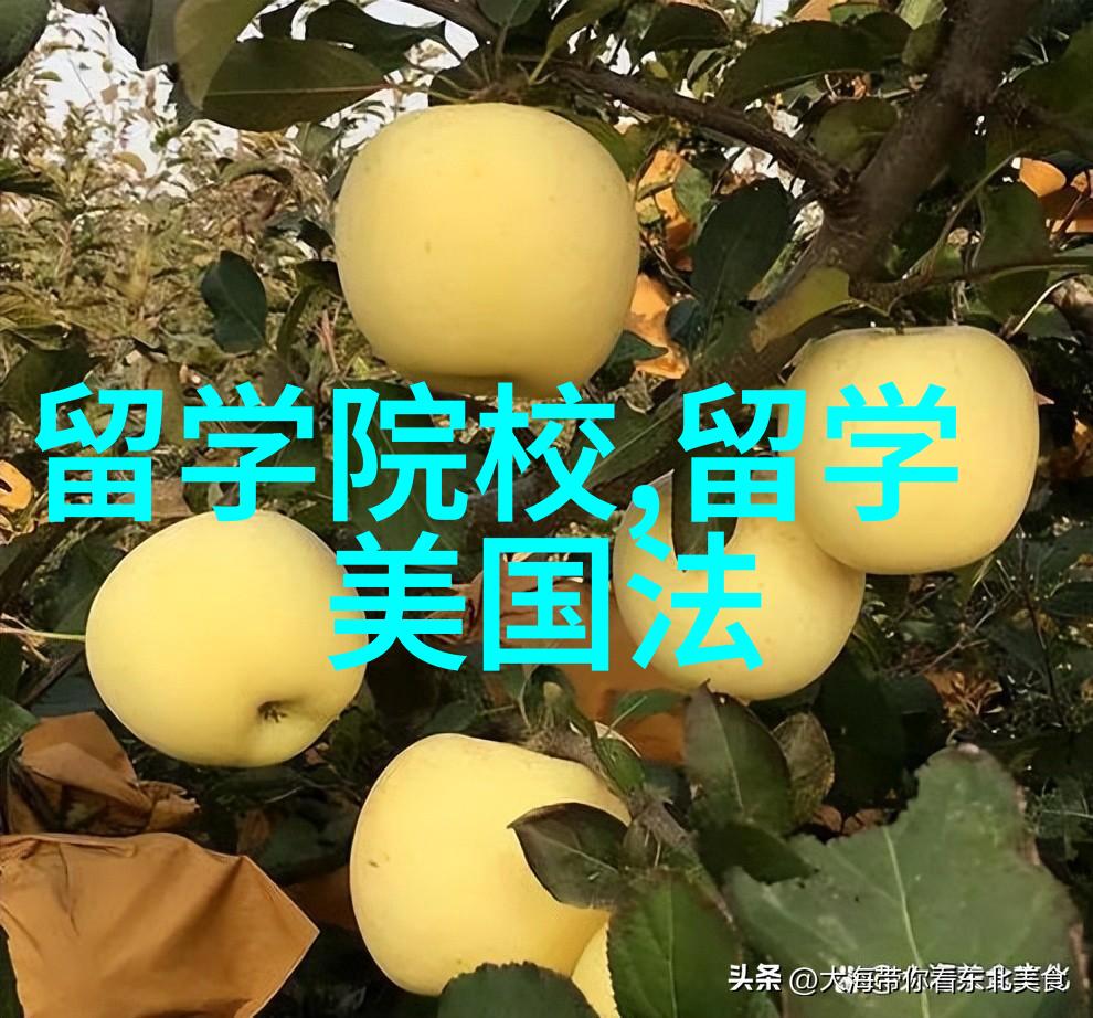哥伦比亚大学本科留学申请材料清单
