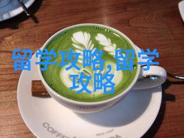 去马来西亚留学生必看国内考语言VS出国读语言班